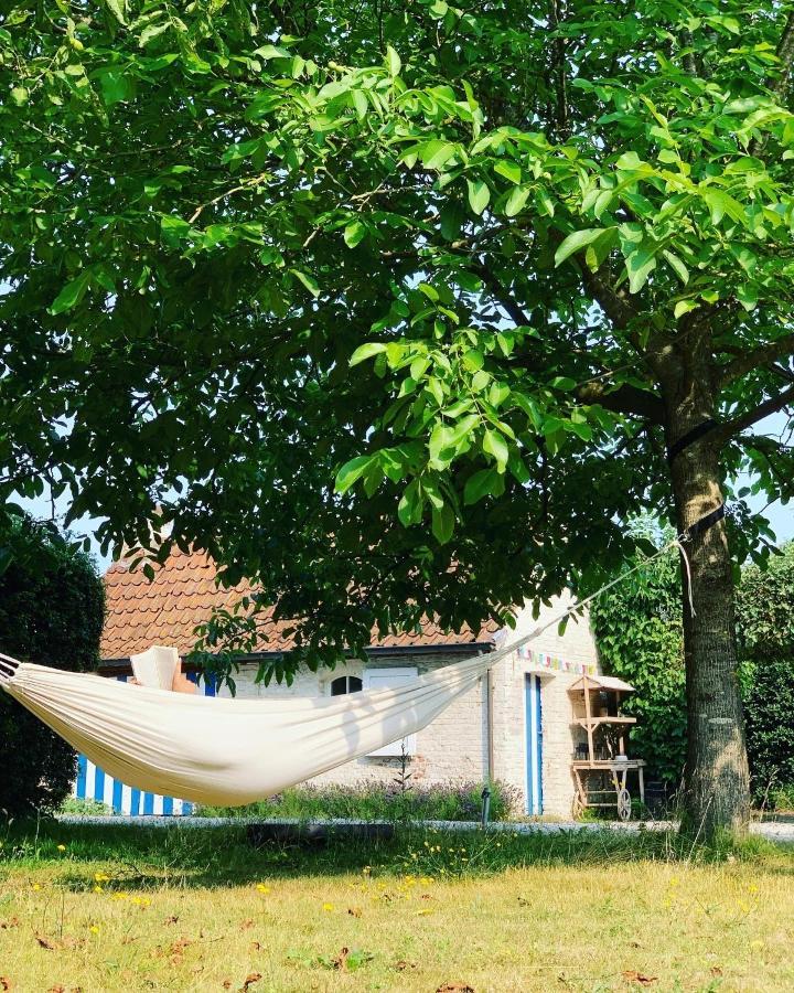 Hamiora Wellness B&B Deinze Bagian luar foto