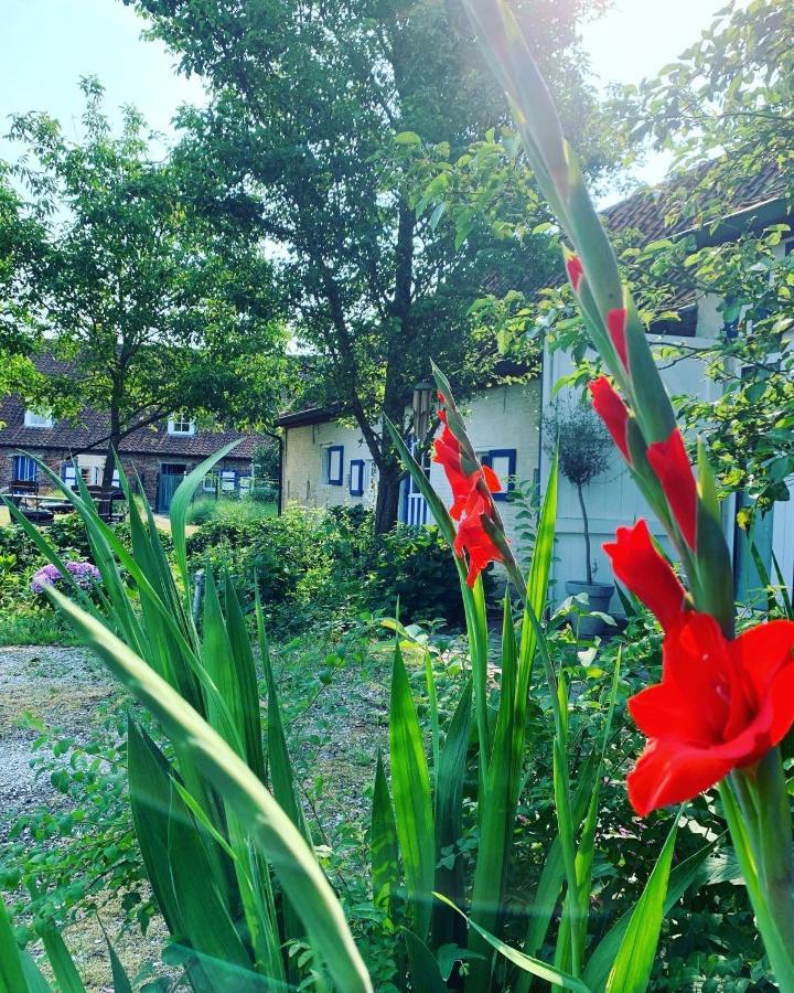 Hamiora Wellness B&B Deinze Bagian luar foto