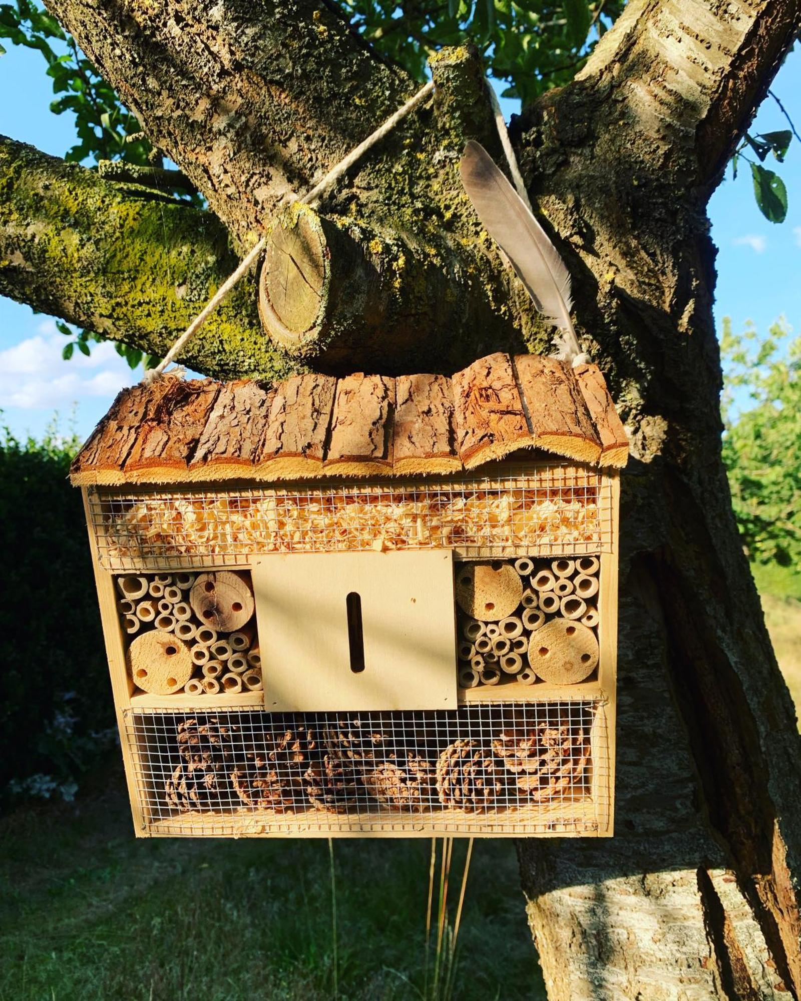 Hamiora Wellness B&B Deinze Bagian luar foto