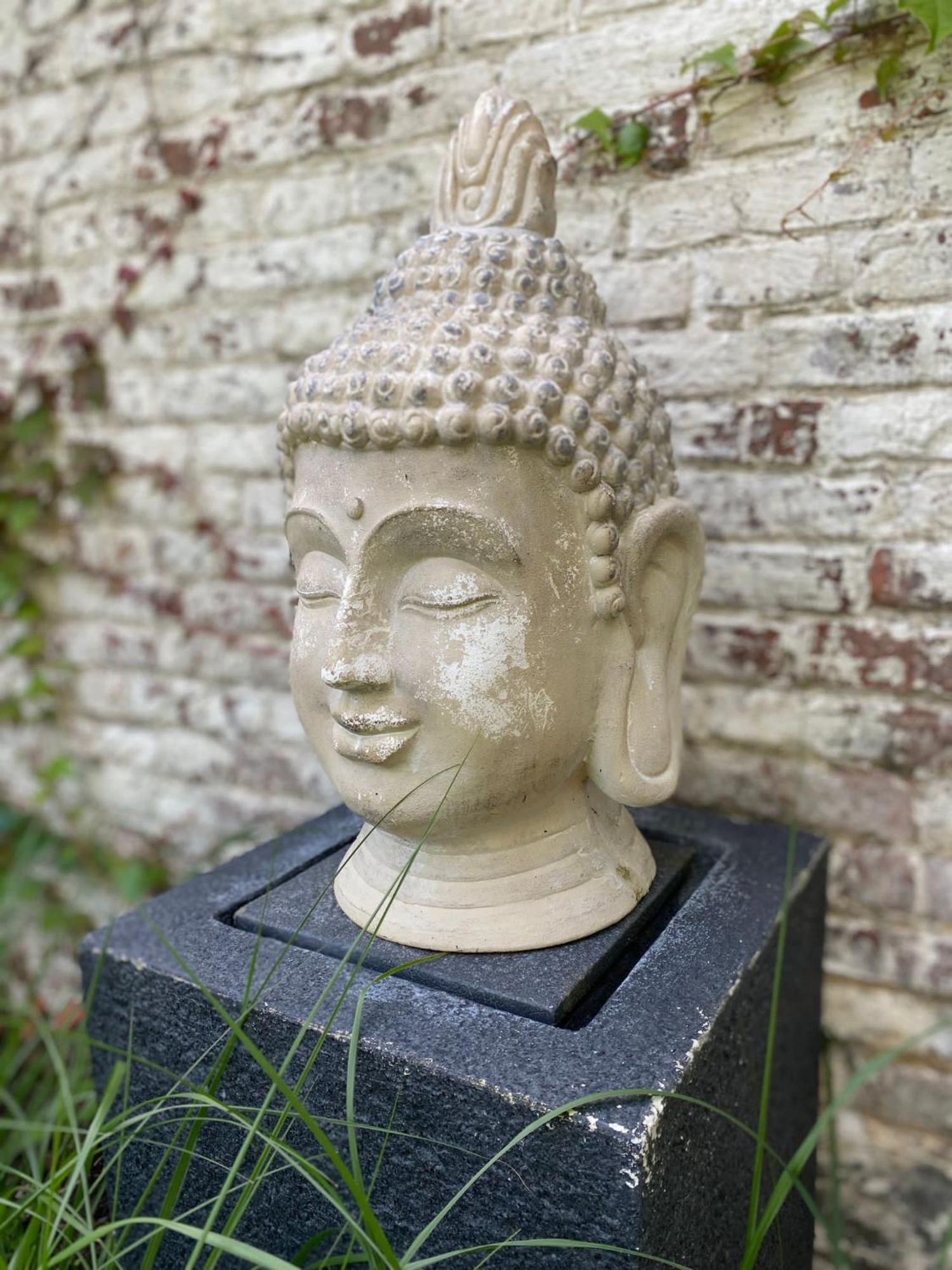 Hamiora Wellness B&B Deinze Bagian luar foto
