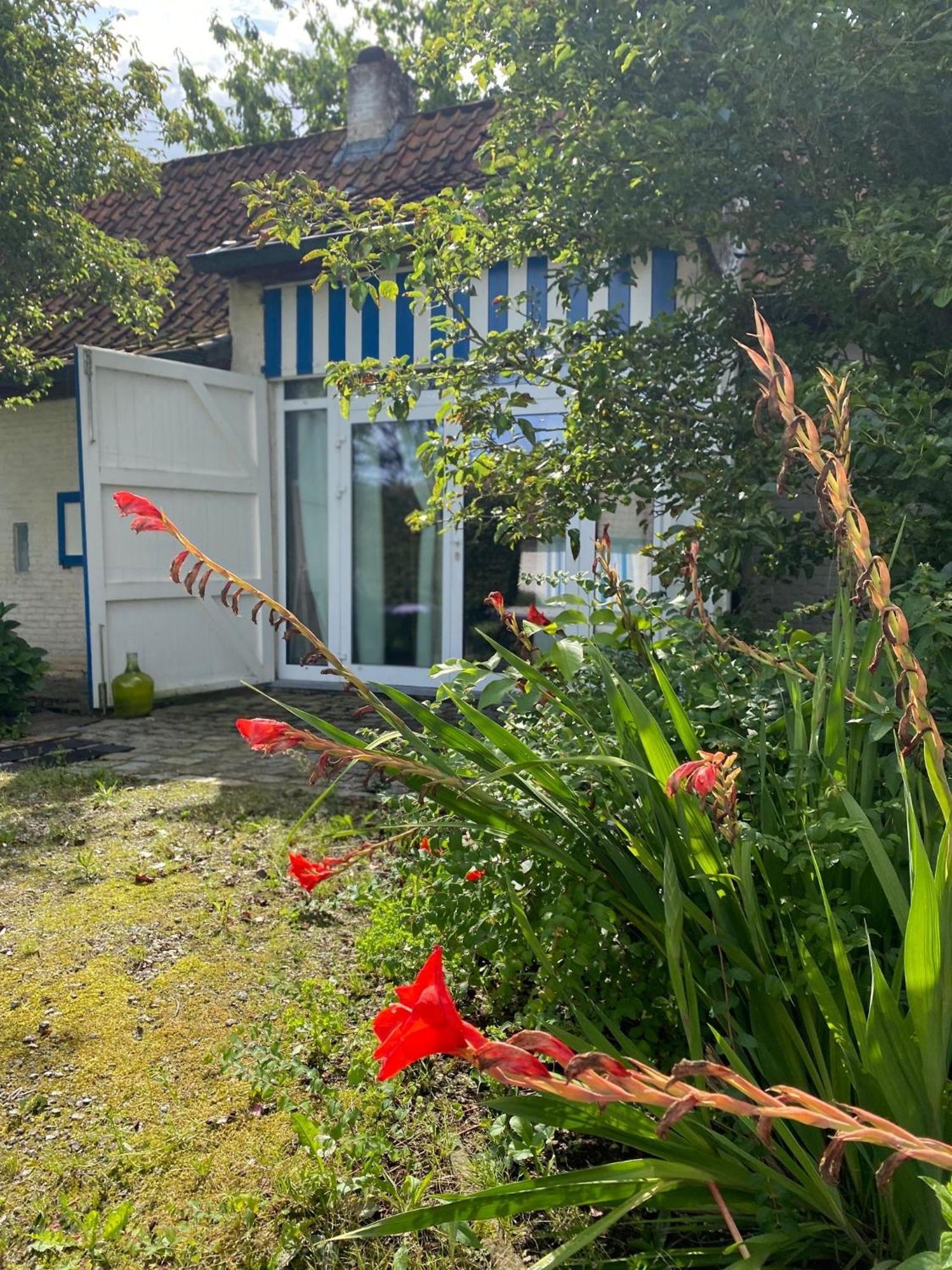 Hamiora Wellness B&B Deinze Bagian luar foto