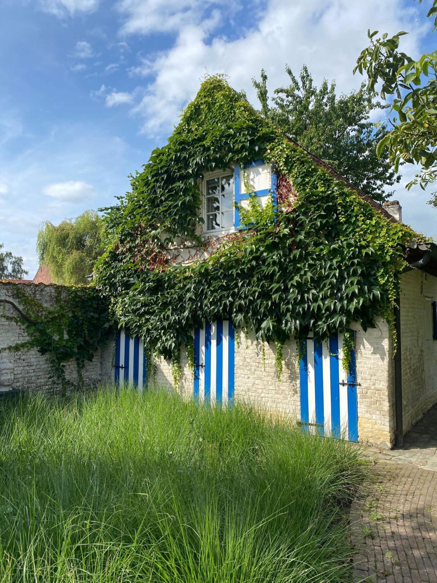Hamiora Wellness B&B Deinze Bagian luar foto
