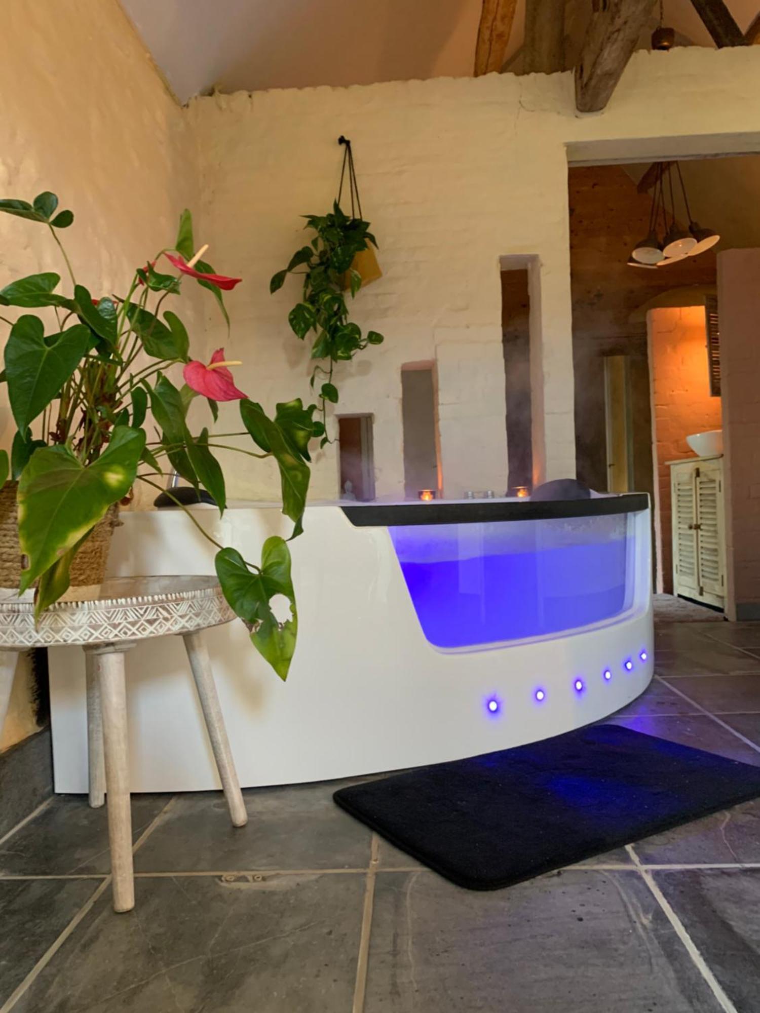 Hamiora Wellness B&B Deinze Bagian luar foto