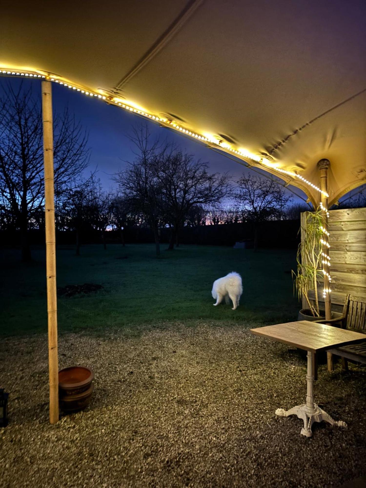 Hamiora Wellness B&B Deinze Bagian luar foto