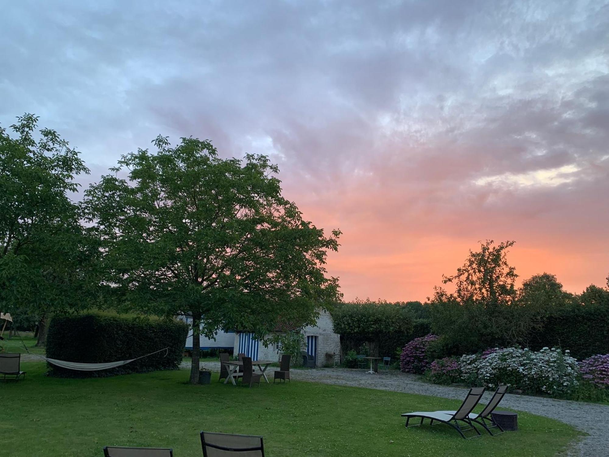 Hamiora Wellness B&B Deinze Bagian luar foto