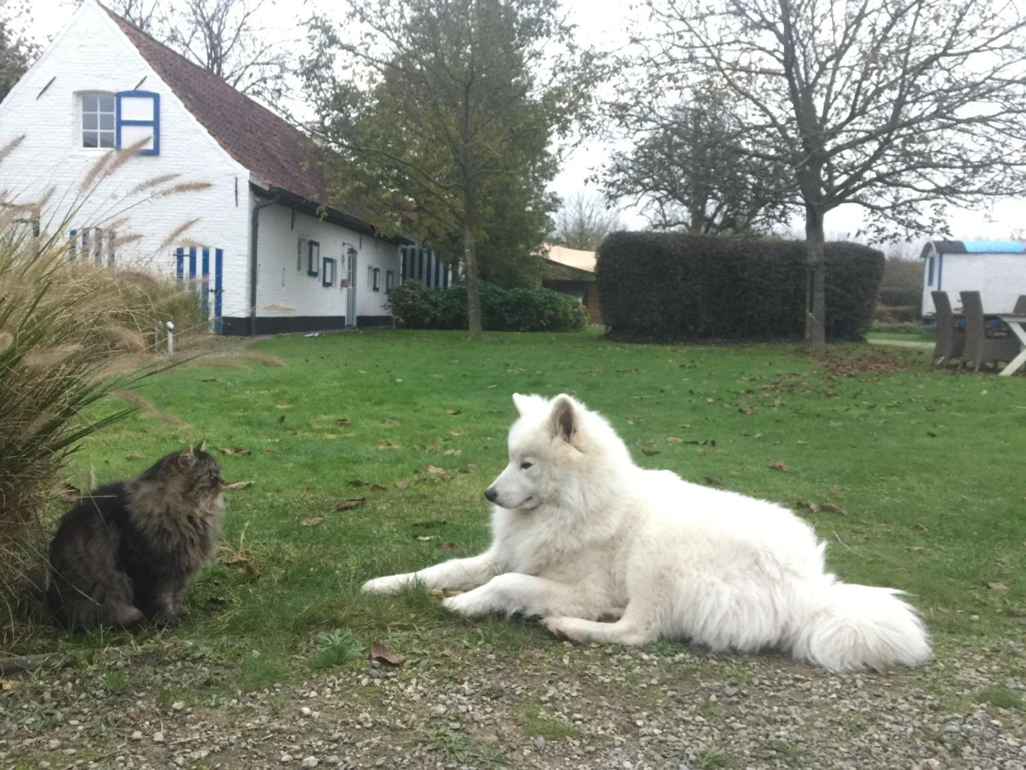 Hamiora Wellness B&B Deinze Bagian luar foto