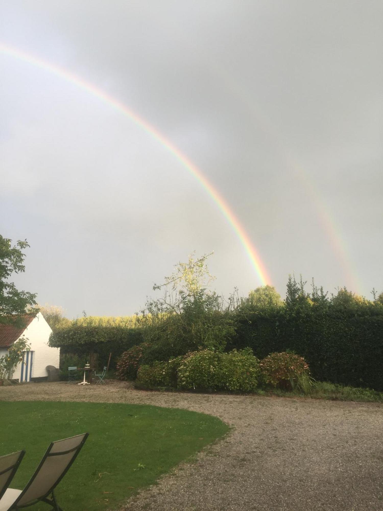 Hamiora Wellness B&B Deinze Bagian luar foto