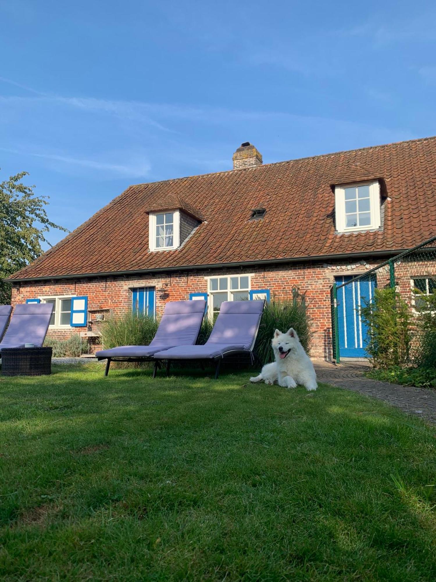 Hamiora Wellness B&B Deinze Bagian luar foto