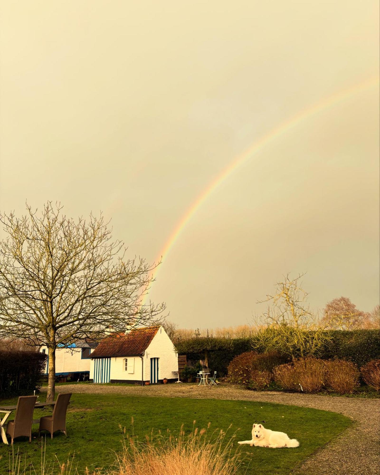 Hamiora Wellness B&B Deinze Bagian luar foto