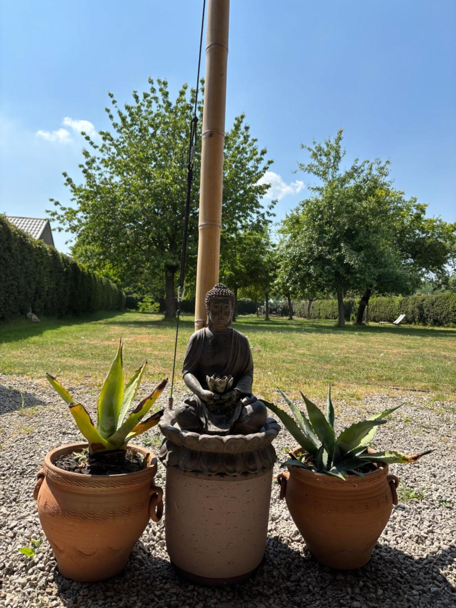 Hamiora Wellness B&B Deinze Bagian luar foto